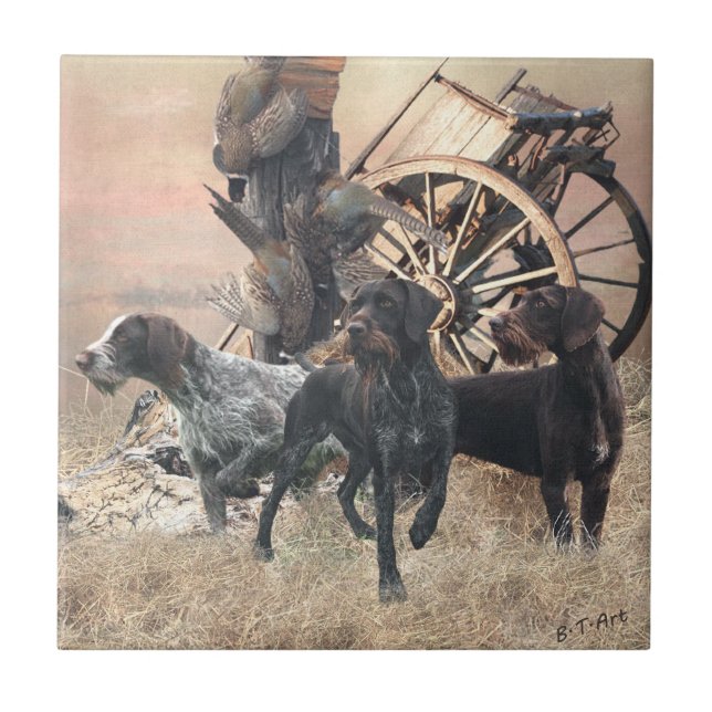German Wirehaired Pointer  sticker Paper Plate Out Ceramic Tile (Front)
