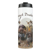  German Wirehaired Pointer