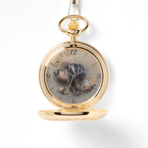 German Wirehaired Pointer   Watch
