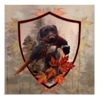 German Wirehaired Pointer with pheasant in hunting