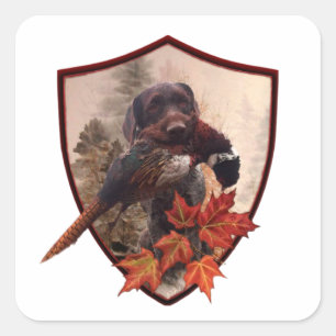 German Wirehaired Pointer with pheasant in hunting Square Sticker