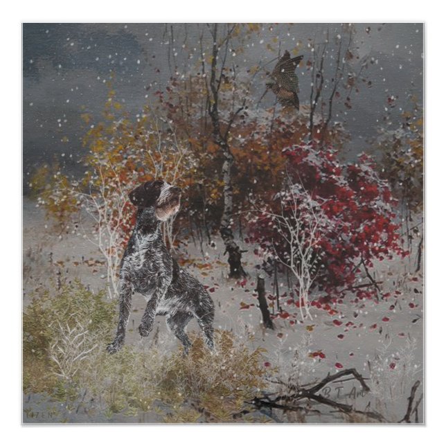 German Wirehaired Pointer with woodcock in winter  Poster (Front)