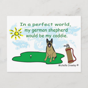 GermanShepherd Postcard