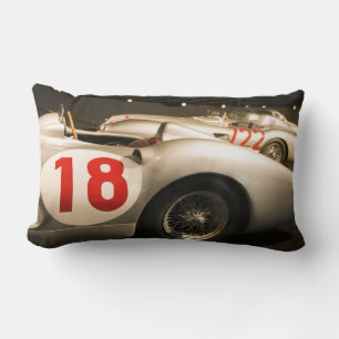 Germany, Baden-Wurttemberg, Stuttgart. Lumbar Cushion