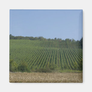 Germany, Franconia, Rothenburg. View along the Magnet