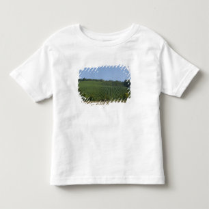 Germany, Franconia, Rothenburg. View along the Toddler T-Shirt