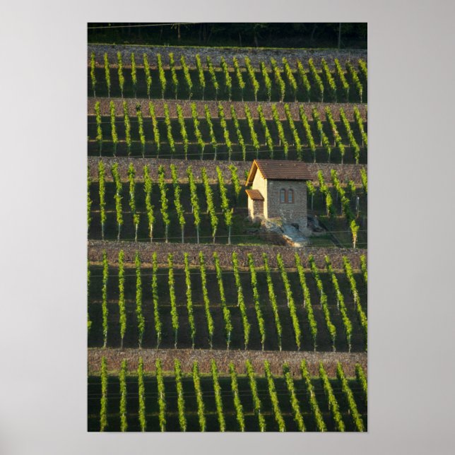 Germany, Franconia, Wertheim. Special hillside 2 Poster (Front)