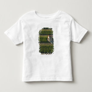 Germany, Franconia, Wertheim. Special hillside 2 Toddler T-Shirt