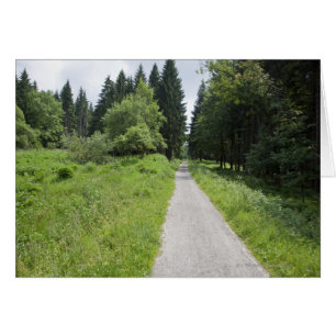 Germany, Thuringia, path in forest