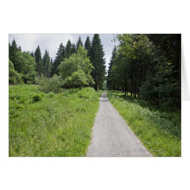 Germany, Thuringia, path in forest (Front Horizontal)