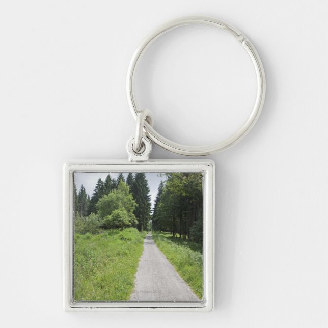 Germany, Thuringia, path in forest Key Ring (Front)