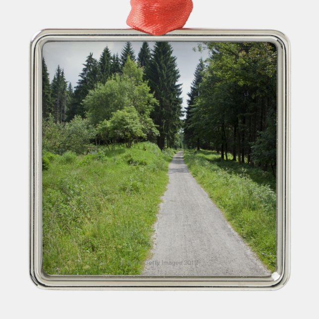 Germany, Thuringia, path in forest Metal Ornament (Front)