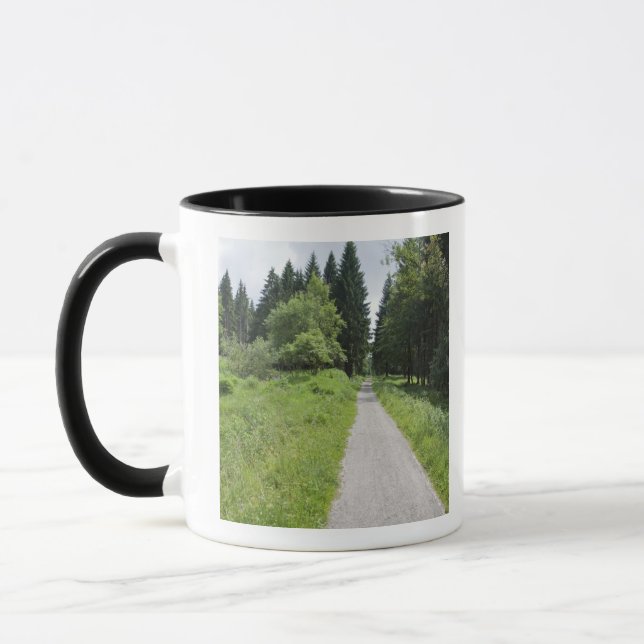 Germany, Thuringia, path in forest Mug (Left)