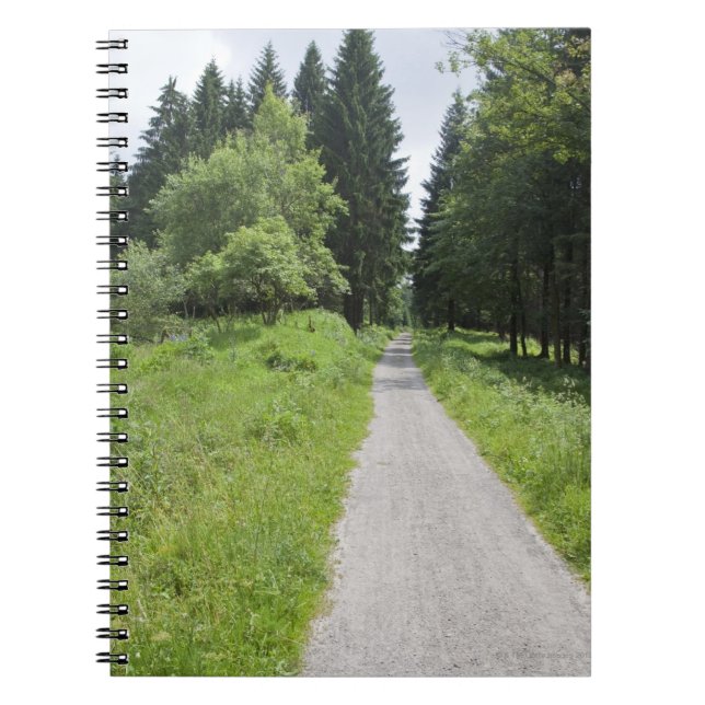 Germany, Thuringia, path in forest Notebook (Front)