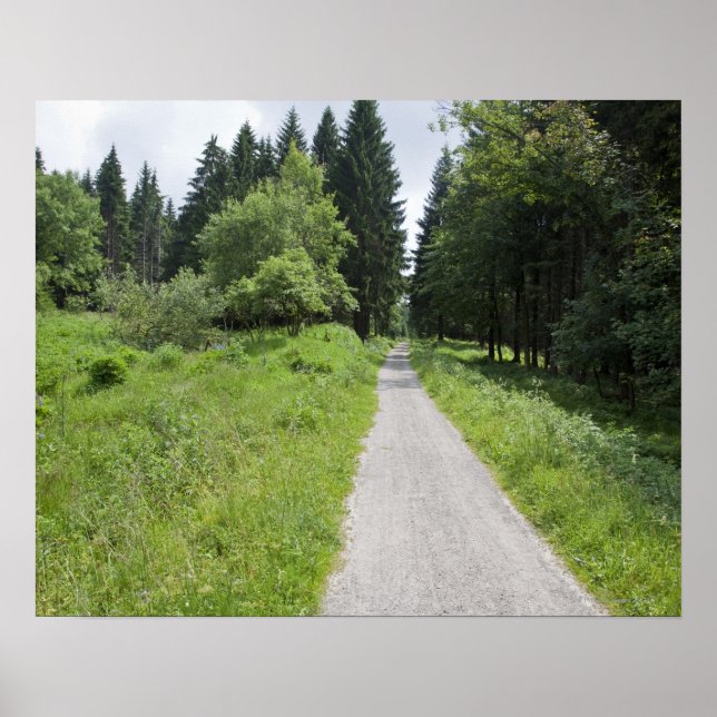 Germany, Thuringia, path in forest Poster (Front)