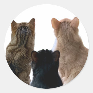 Geronimo, Henri & Floyd Sticker