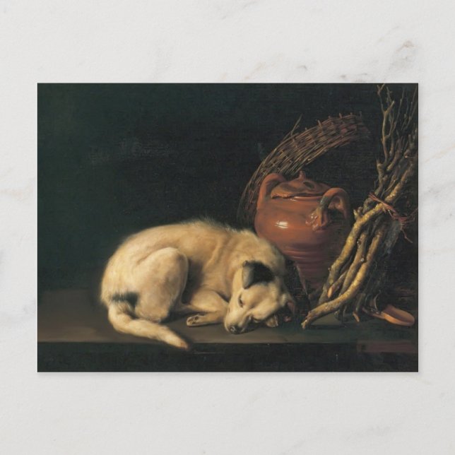 Gerrit Dou- A Sleeping Dog with Terracotta Pot Postcard (Front)