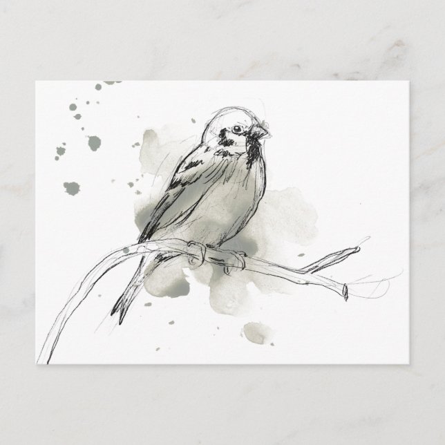 Gestural Bird Study Postcard (Front)