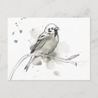 Gestural Bird Study
