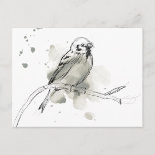 Gestural Bird Study Postcard