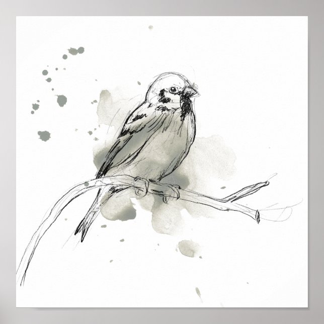 Gestural Bird Study Poster (Front)