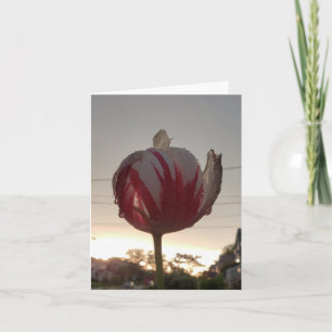 Get A Job, Hippie Card