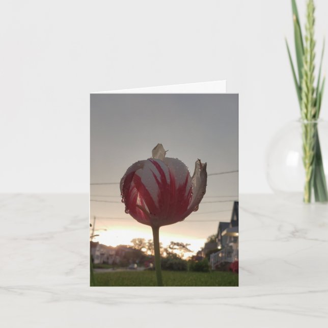 Get A Real Job, Hippie Card (Front)