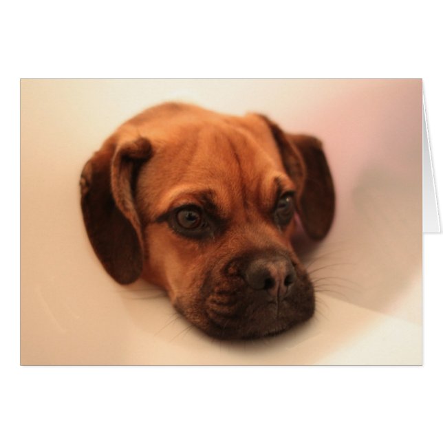 get better (Front Horizontal)