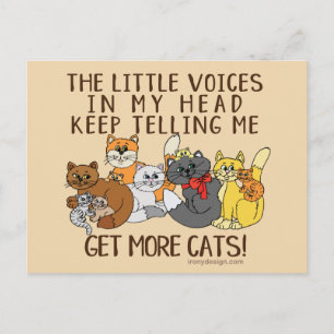 Get More Cats Funny Saying Postcard