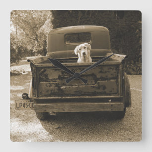 Get Out of Dodge - Dog Photograph Square Wall Clock