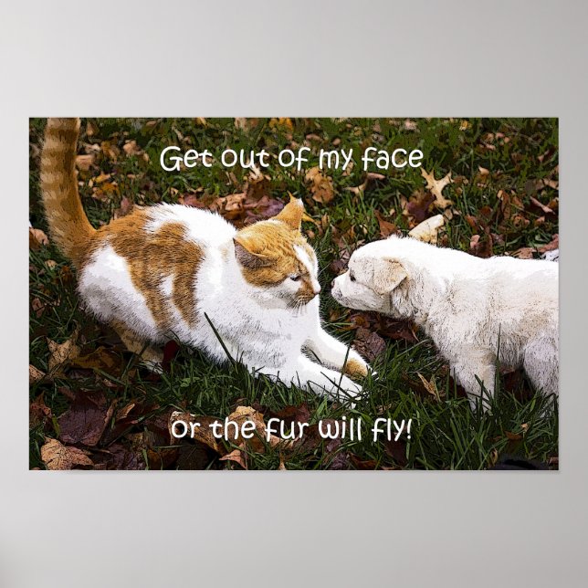 "Get out of my face" humourous dog and cat poster (Front)