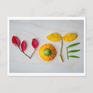 Get out the VOTE postcard