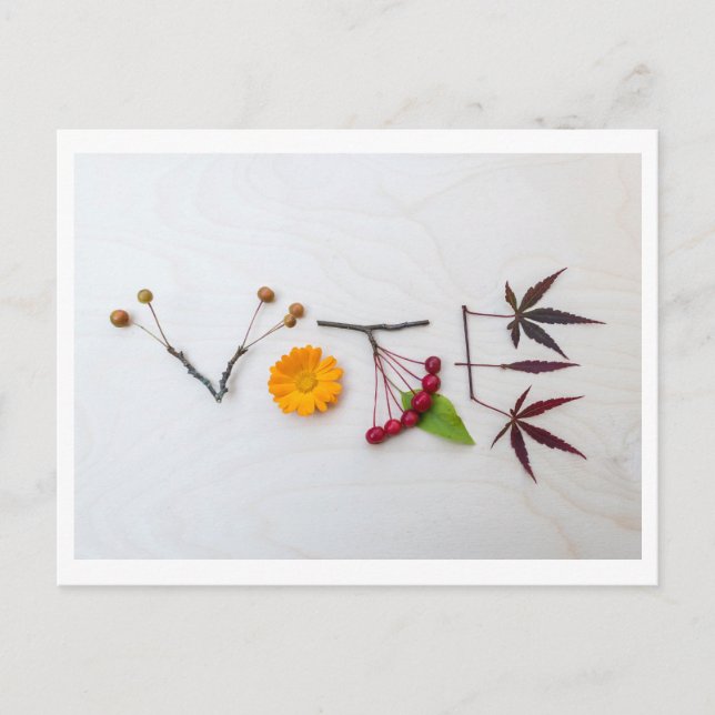 Get out the VOTE postcard (Front)