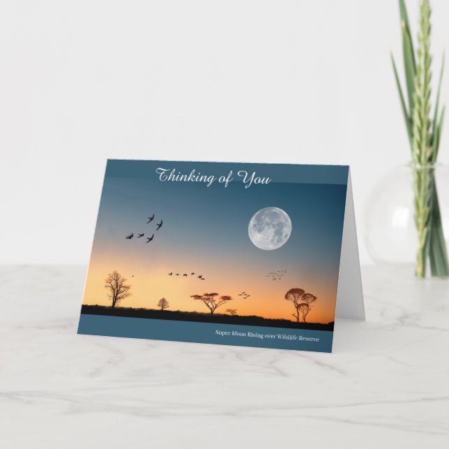 Get Well Card (Front)