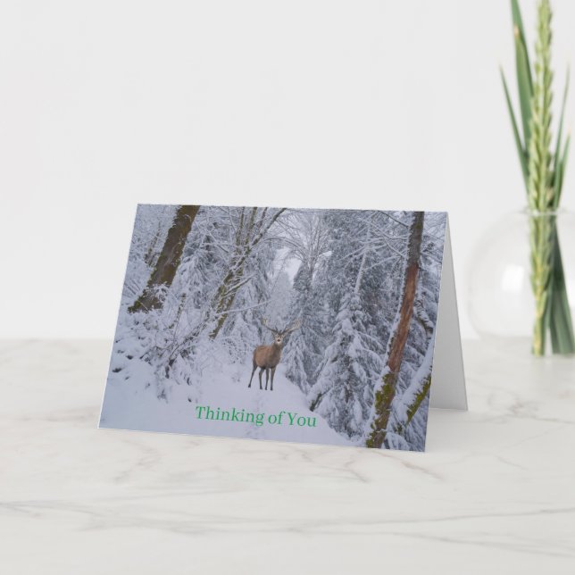 Get Well Card (Front)