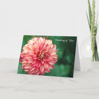 Get Well Card