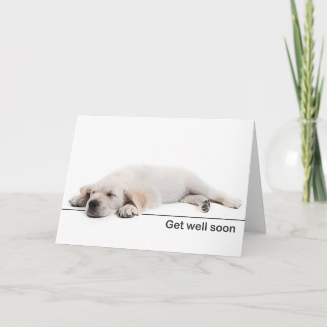 Get well card Golden retriever puppy (Front)
