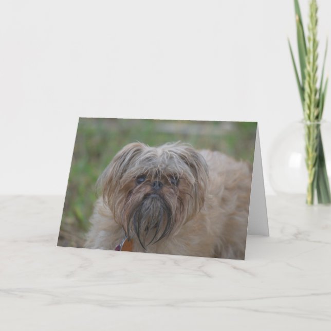 Get Well Card-Humour/Rude Card (Front)