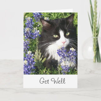 Get Well Card Tuxedo Cat in Texas Bluebonnet