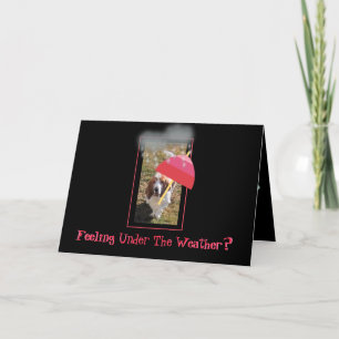 "Get Well" Card W/Basset Hound, Rain & Umbrella
