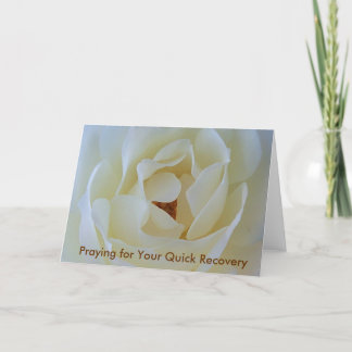 Get Well Card, White Rose Card