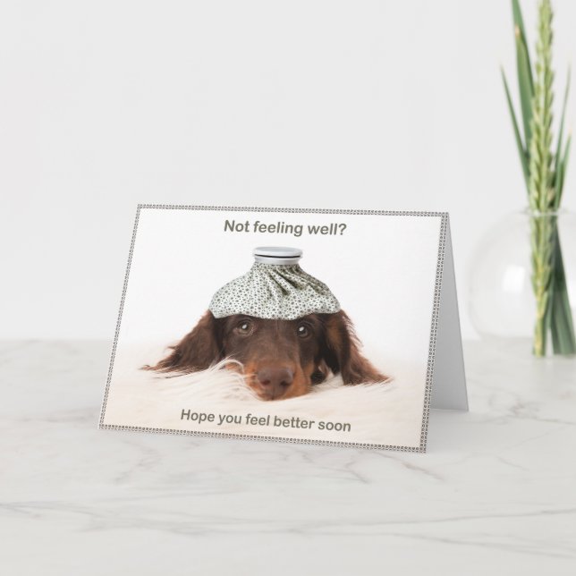 Get well card with a dachshund hound dog (Front)