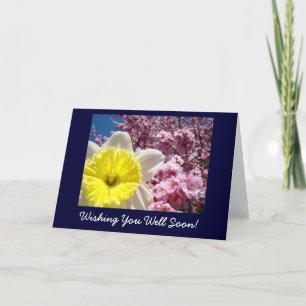 Get Well Cards Bright Daffodil Floral Pink Blossom