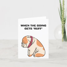Get Well Cards For Dogs