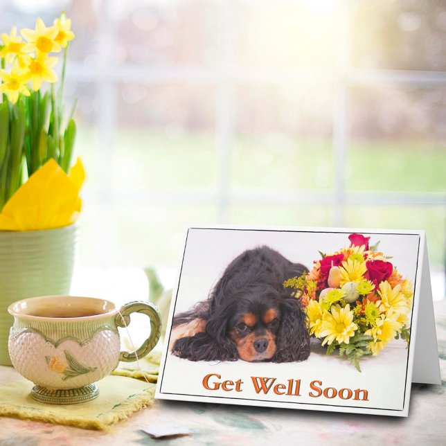 Get Well Cavalier King Charles Spaniel Card (Creator Uploaded)