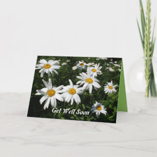 Get Well Daisies Card