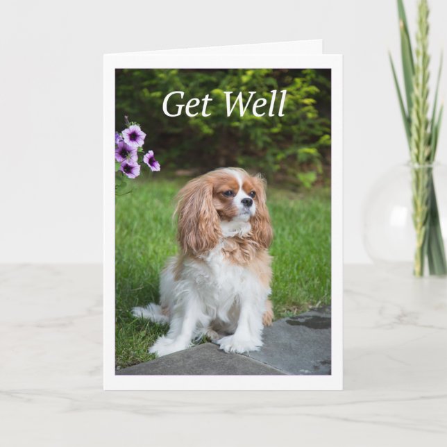 Get Well Flowers Cavalier King Charles Spaneils Card (Front)