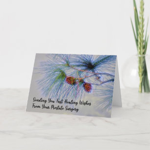 Get Well from Prostate Surgery Pine Branch Card