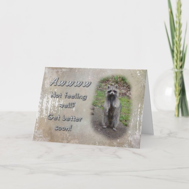 Get Well Greeting Card - Racoon  Feel Better Soon (Front)
