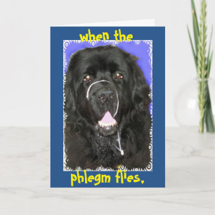 Get Well Greeting ~ Newfoundland Card